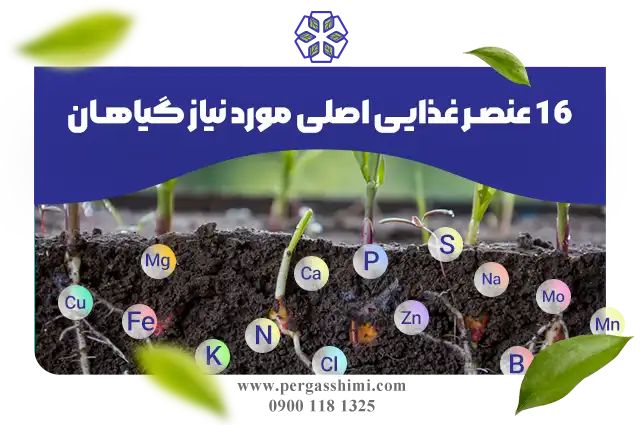 ۱۶ عنصر شیمیایی ضروری برای رشد گیاهان