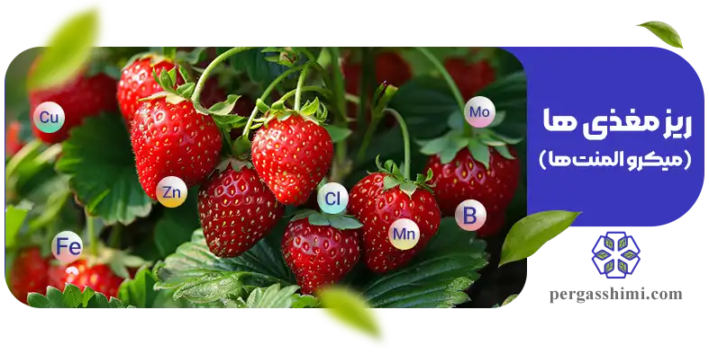 ریز مغذی ها یا میکرو المنت ها