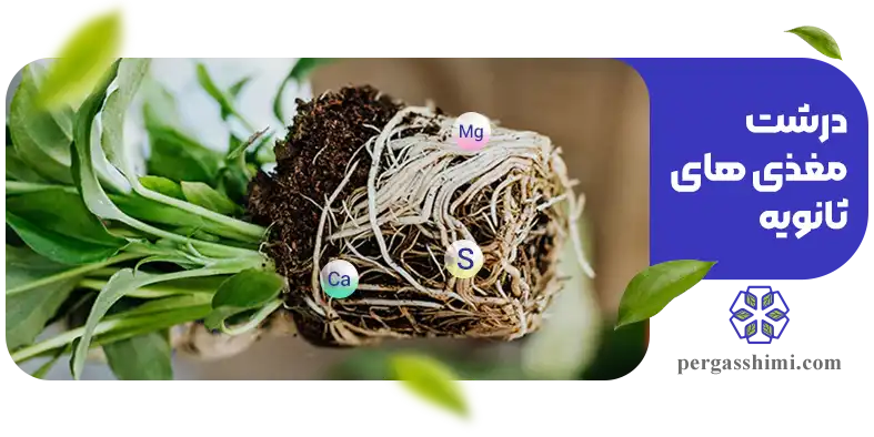 درشت مغذی های ثانویه (Se