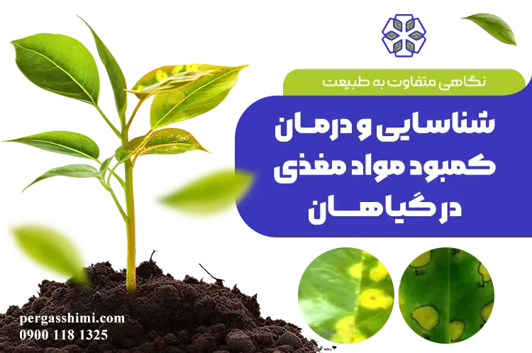 کمبود مواد مغذی در گیاهان