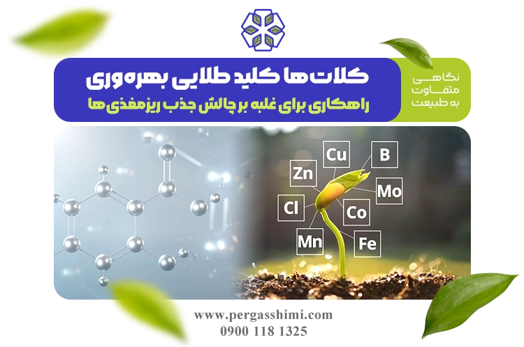 کودهای کلات برای افزایش جذب ریزمغذی‌ ها و بهره‌ وری محصولات کشاورزی