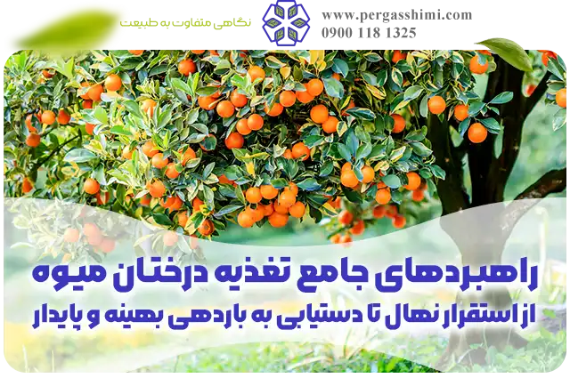 برنامه تغذیه و کوددهی درختان میوه از کاشت تا باردهی برای افزایش رشد و سلامت باغ