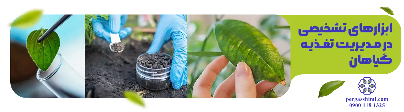 نمونه‌ برداری برگ و آزمون خاک برای تشخیص نیازهای غذایی درختان میوه و مدیریت تغذیه بهینه