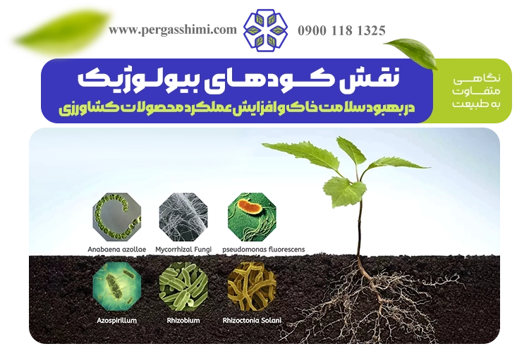 کودهای بیولوژیک و میکروبی در سلامت خاک و افزایش عملکرد محصولات کشاورزی