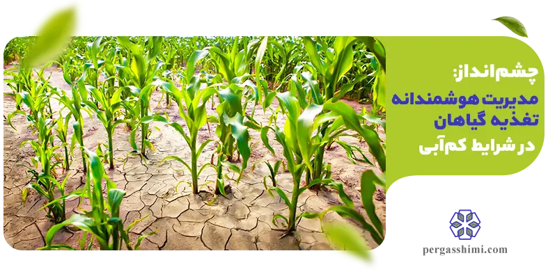 چشم‌انداز مدیریت هوشمندانه تغذیه گیاهان در شرایط کم‌آبی