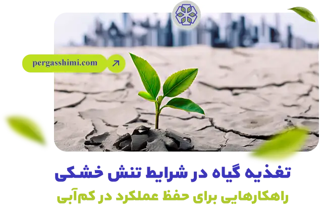 گیاه در خاک خشک و ترک‌خورده در شرایط تنش خشکی